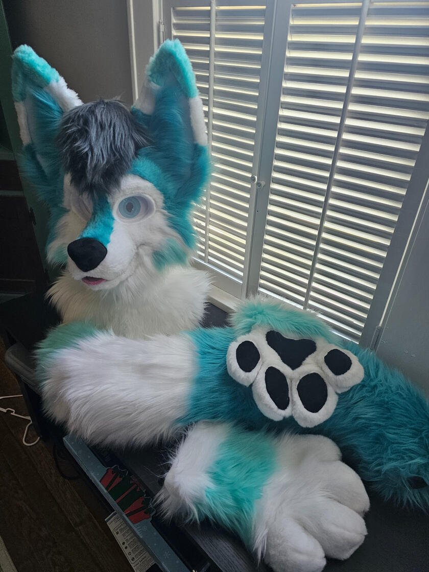 Fox Comm