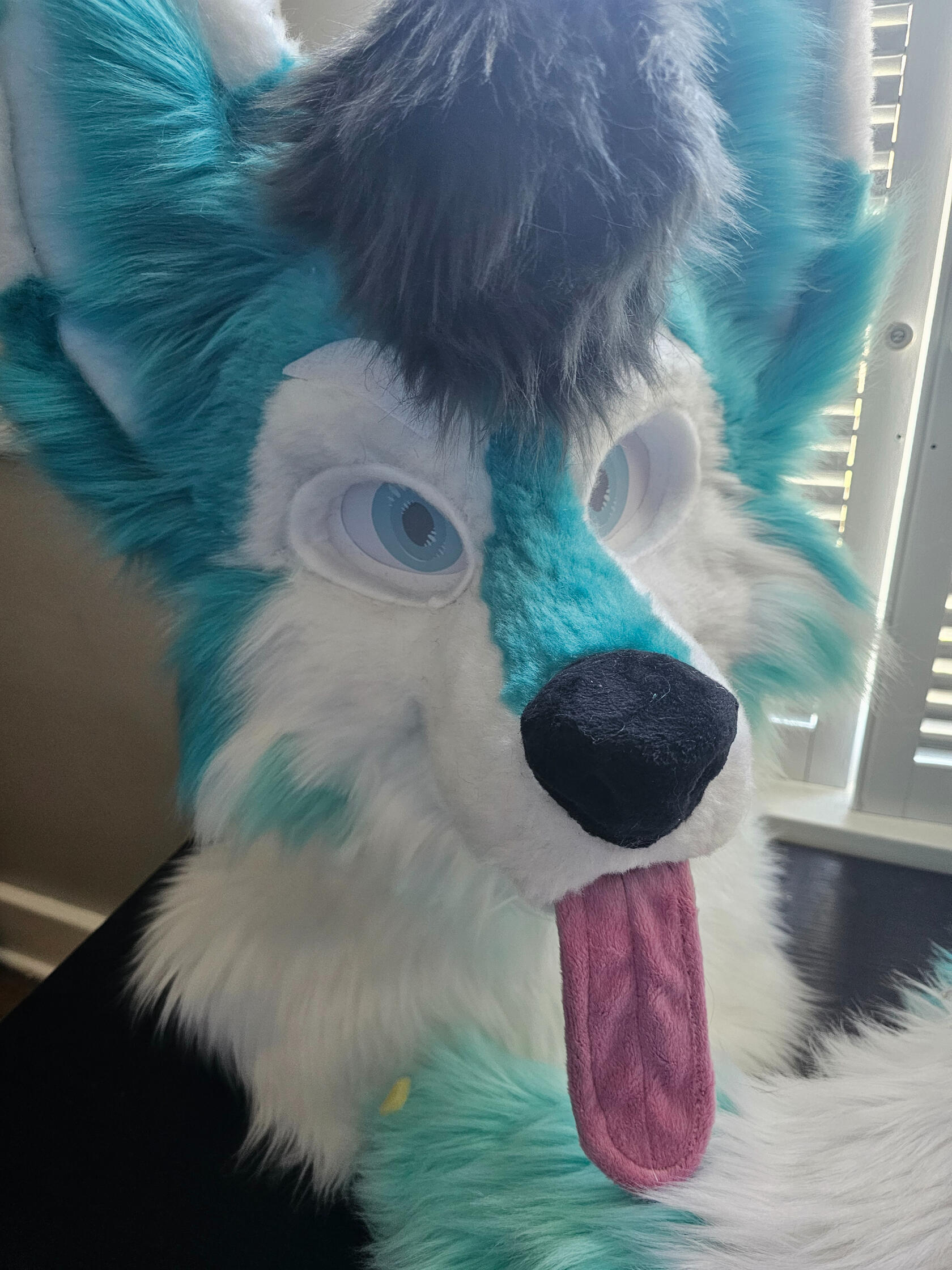 Fox comm